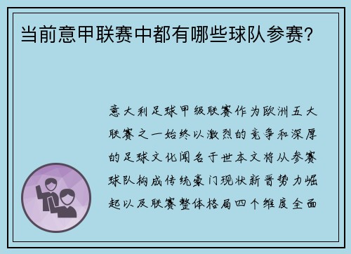 当前意甲联赛中都有哪些球队参赛？